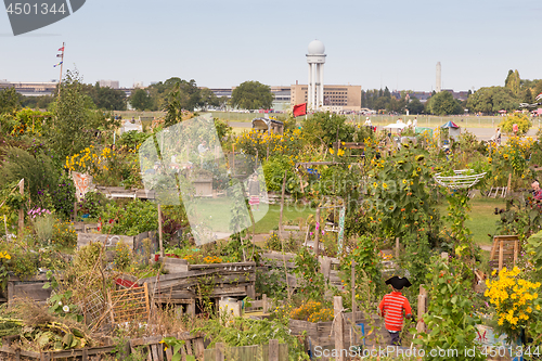 Image of Urban gardening at Tempelhofer field, former airport in Berlin, Germany.