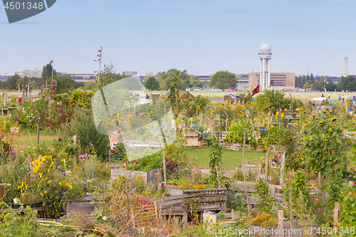 Image of Urban gardening at Tempelhofer field, former airport in Berlin, Germany.