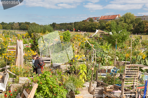 Image of Urban gardening at Tempelhofer field, former airport in Berlin, Germany.