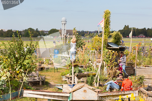 Image of Urban gardening at Tempelhofer field, former airport in Berlin, Germany.