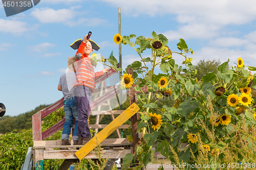 Image of Kids playing pirates in urban gardens at Tempelhofer field, once airport, now a public park in Berlin, Germany