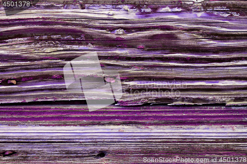 Image of Old wooden purple door grunge texture