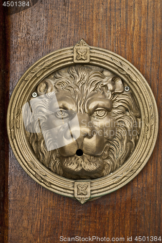 Image of Ancient italian bronze lion on wooden brown background