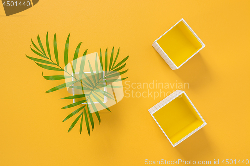 Image of Palm leaves and decorative boxes on yellow background