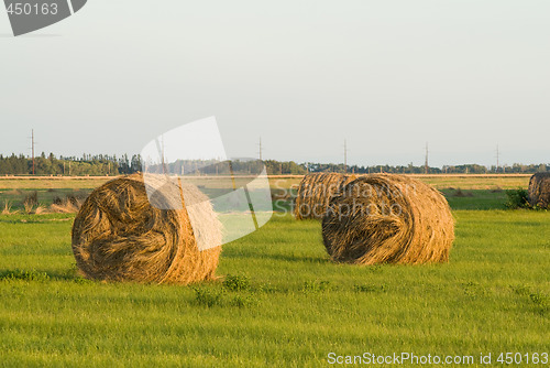 Image of Hay Bale At Sunset