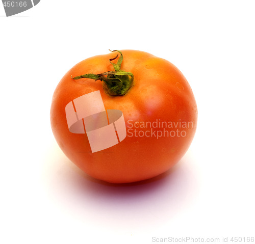 Image of Single Tomato