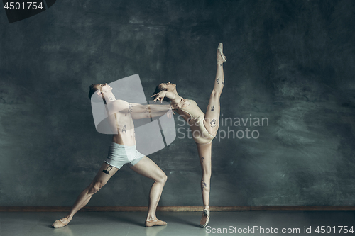 Image of The young modern ballet dancers posing on gray studio background