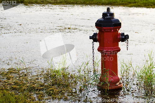 Image of Fire Hydrant