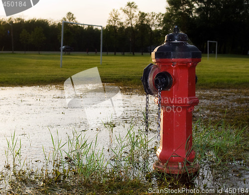 Image of Morning Fire Hydrant