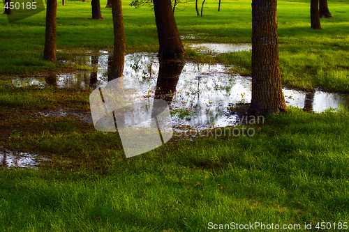 Image of Wet Park