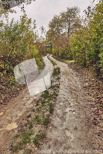 Image of Dirtroad in the countryside