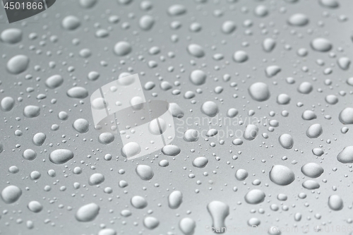 Image of Shiny Water Droplets