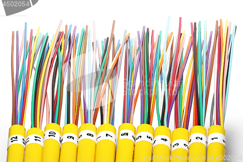 Image of Fiber optical network cable close up