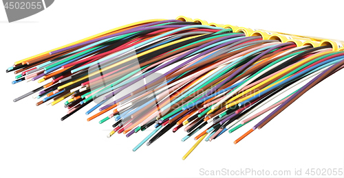 Image of Fiber optical network cable close up