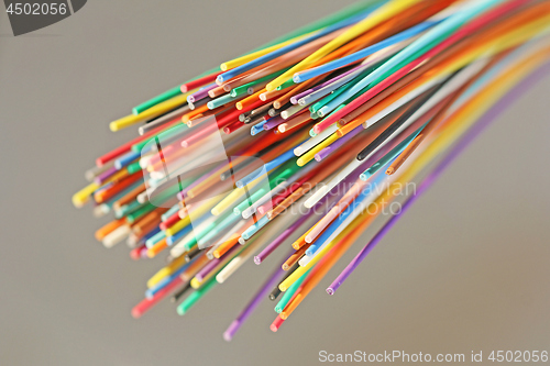 Image of Fiber optical network cable close up