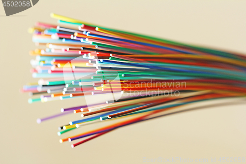 Image of Fiber optical network cable close up