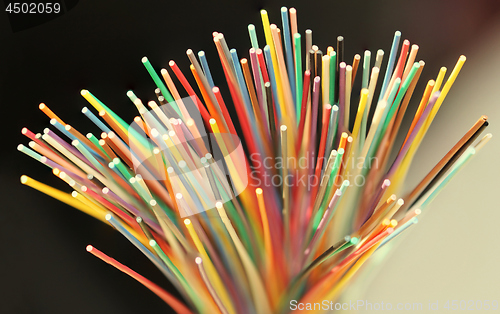 Image of Fiber optical network cable close up