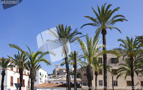 Image of Ibiza town of Eivissa with the cathedral and old town