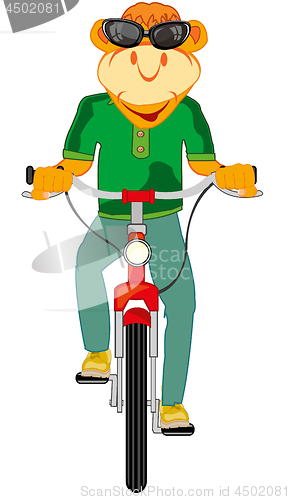 Image of Cartoon animal on transport facility bicycle.Vector illustration