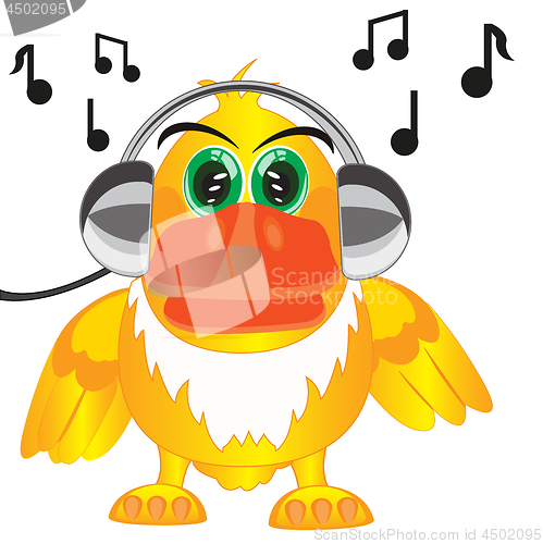 Image of Cartoon of the bird in earphone listens music