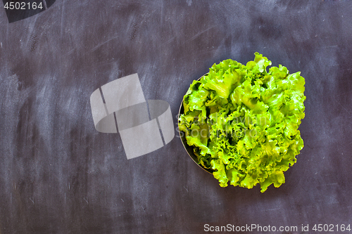 Image of Fresh green lettuce salad in the bowl on black background. 