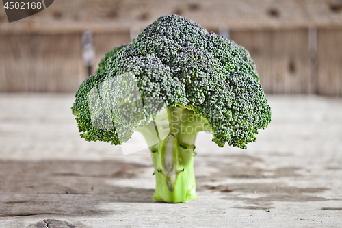 Image of Fresh green organic broccoli.