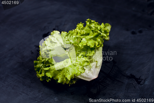 Image of Fresh green lettuce salad.