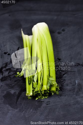 Image of Fresh green organic celery.