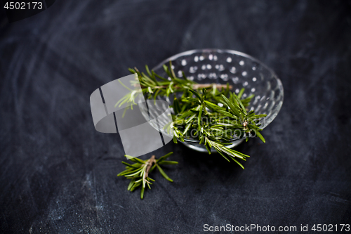 Image of Fresh rosemary herb in glass bowl.