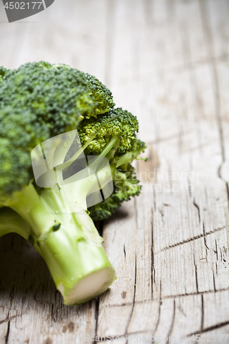 Image of Fresh green organic broccoli.