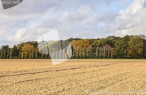 Image of Plain Autumn Landscape