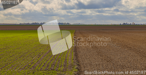 Image of Cloudy Plain Landscape in Autumn