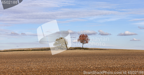 Image of Autumn Plain Landscape