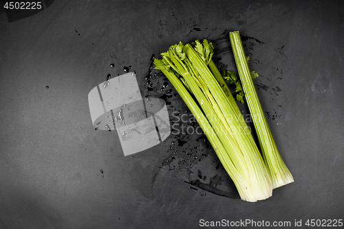 Image of Fresh green organic celery and water on black background.