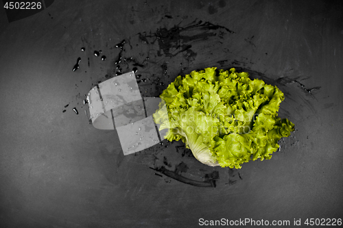 Image of Fresh green wet lettuce salad on black background