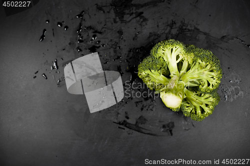 Image of Fresh green wet broccoli on black background.