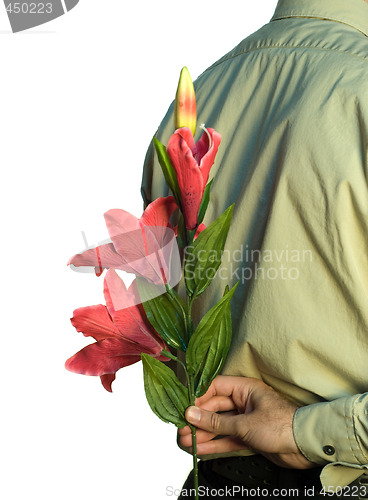 Image of Hiding Flowers