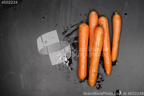 Image of Fresh organic wet carrots on black background.