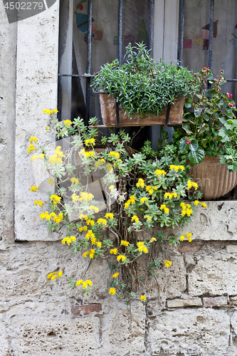 Image of Italian window decorated with flowers.