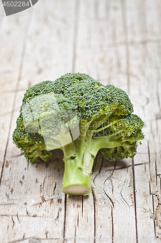 Image of Fresh green organic broccoli.