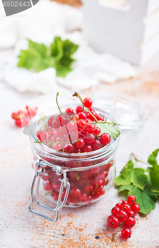 Image of red currant