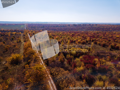 Image of Panoramic aerial view from drone of beautiful landscape with dirt road through autumn forest in a red and yellow tones on a background of clean blue sky.