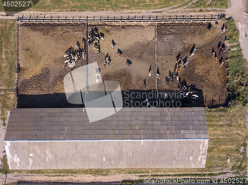 Image of Agricultural farmland with feeding ground for cows. Aerial view from drone. Top view.