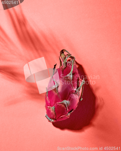 Image of Dragon fruit or Pitahaya with plant shadows isolated on a Living Coral background. Copy space. Top view