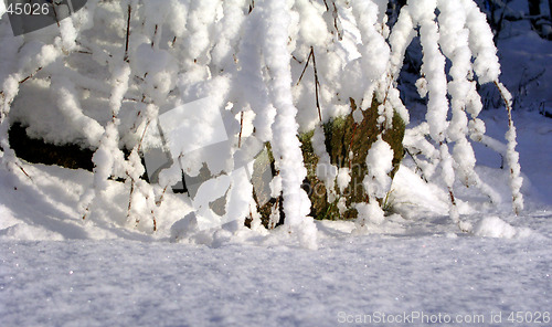 Image of Icy Stone