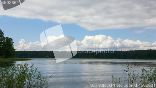 Image of Summer Landscape With Cumulus Clouds Over The Forest Lake