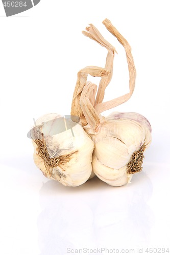 Image of two garlic bulbs