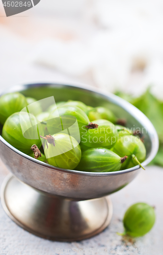 Image of gooseberry