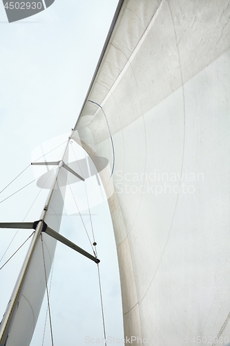 Image of Sailing boat detail