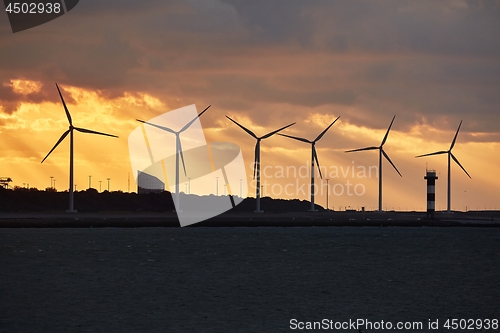 Image of Wind power turbines